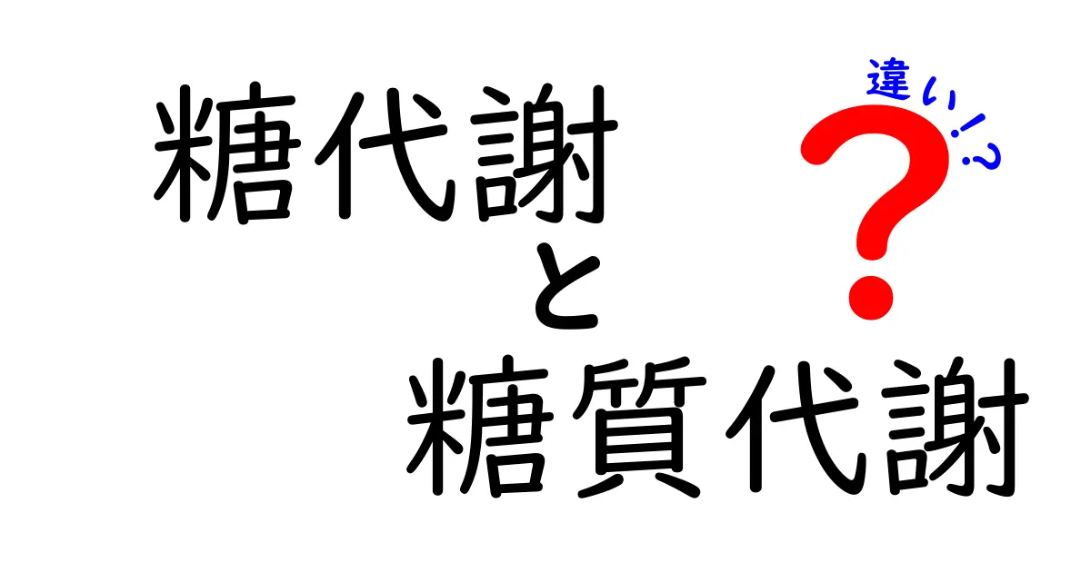 糖代謝と糖質代謝の違いを徹底解説!中学生にもわかるポイントをやさしく