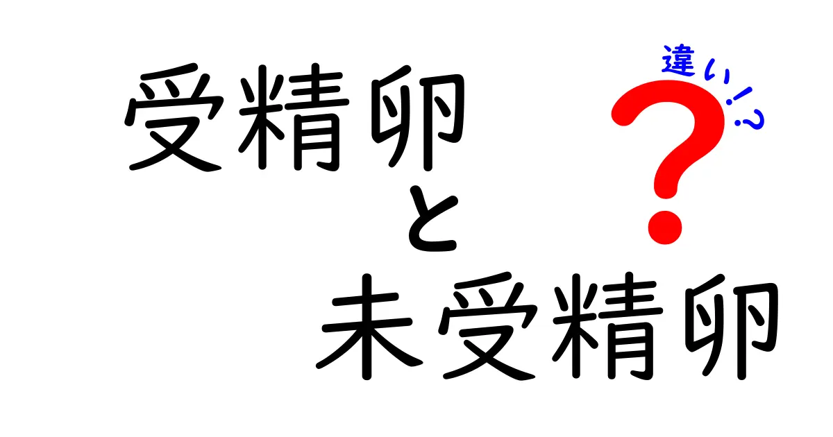受精卵と未受精卵の違いを徹底解説!初心者でも分かる3つのポイントとよくある誤解