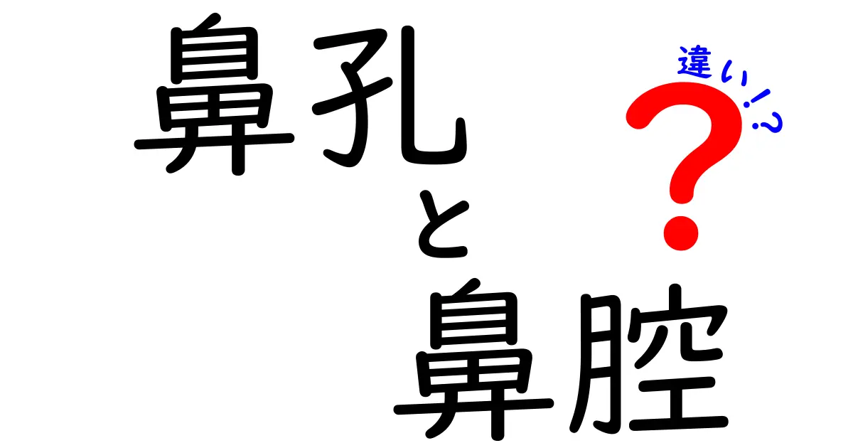 鼻孔と鼻腔の違いを徹底解説！どちらがどこで何をしているの？
