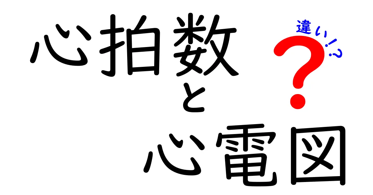 心拍数と心電図の違いをわかりやすく解説!健康チェックの基本知識