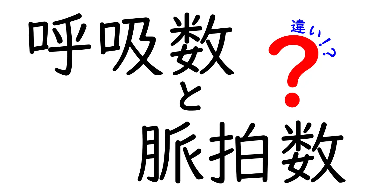 呼吸数と脈拍数の違いをわかりやすく解説！中学生にも伝わるポイントと測り方