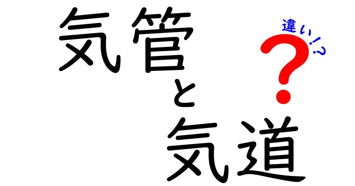 気管と気道の違いを徹底解説—呼吸の扉を中学生にも分かる言葉で