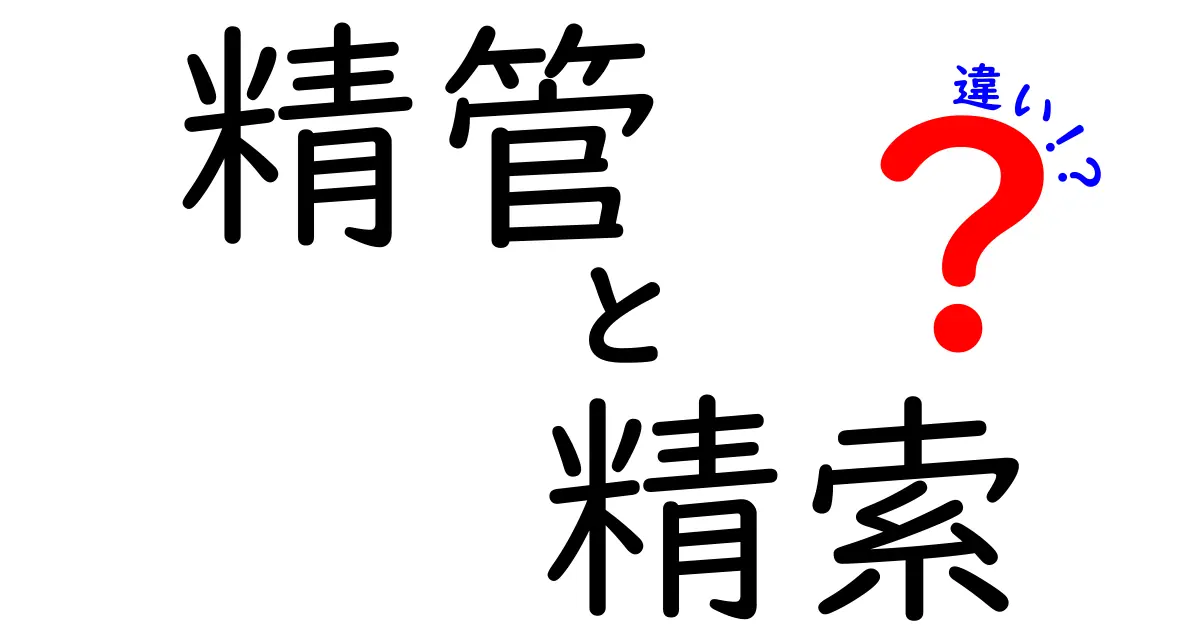 精管と精索の違いをわかりやすく解説!中学生向けの図解つきガイド
