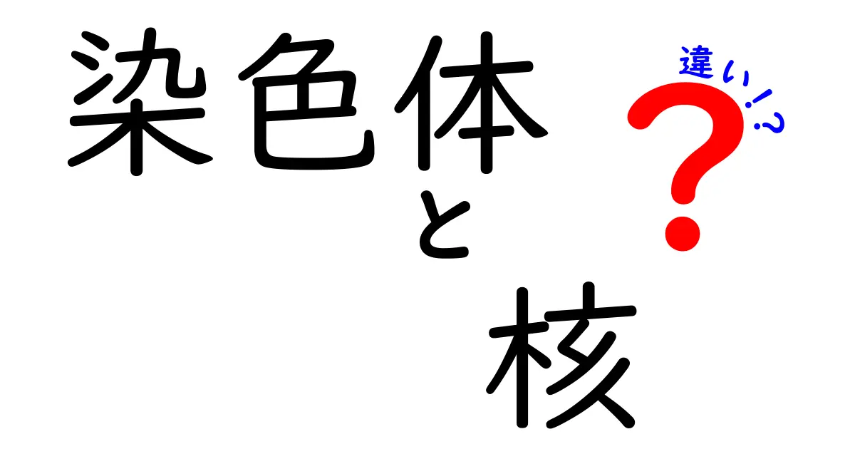 染色体と核の違いをスッキリ解説!中学生にも分かる図解つきのていねいガイド