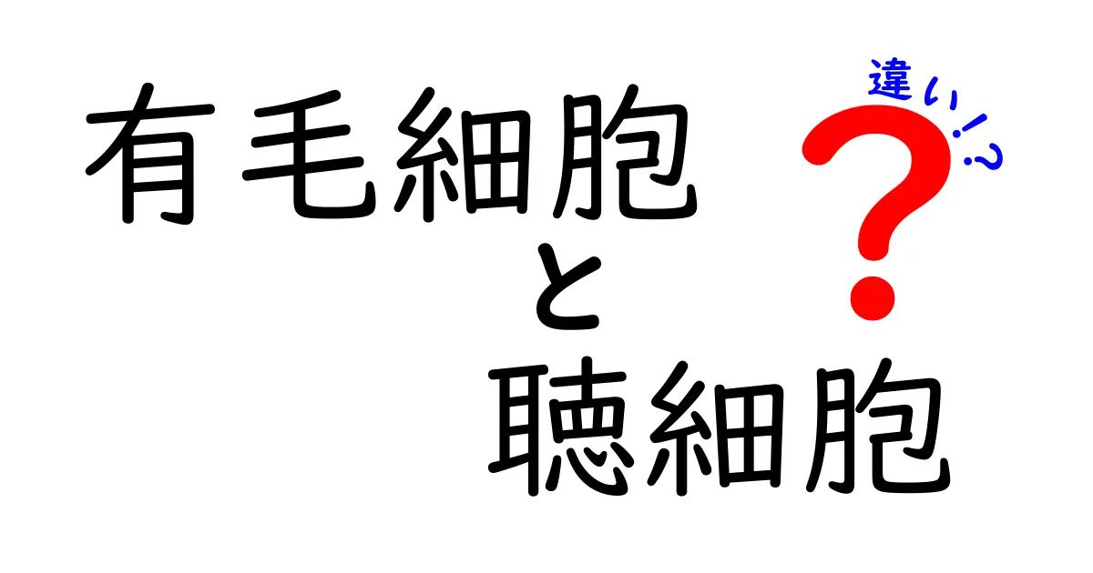 有毛細胞と聴細胞の違いを徹底解説!聴覚の仕組みを身近に理解しよう