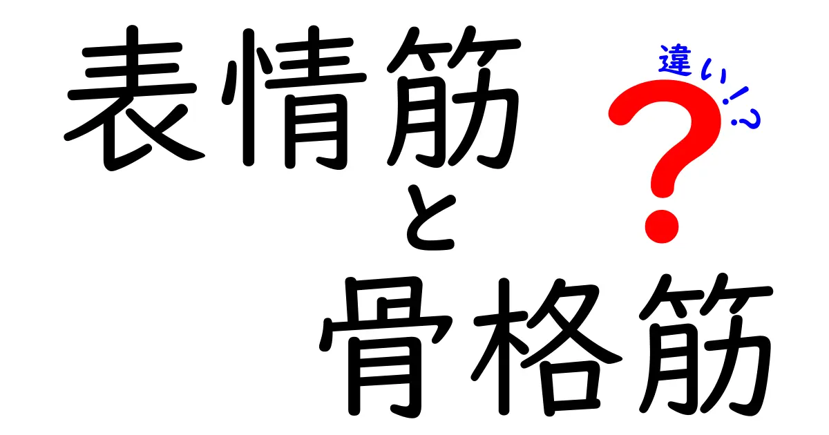 表情筋と骨格筋の違いを徹底解説!体の動きと感情にまつわる筋肉の秘密