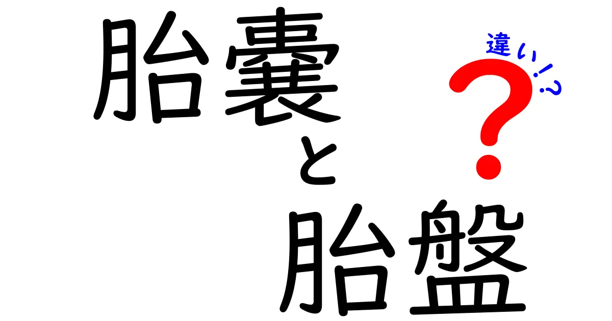 胎嚢と胎盤の違いを徹底解説—妊娠初期の基礎を身につけよう
