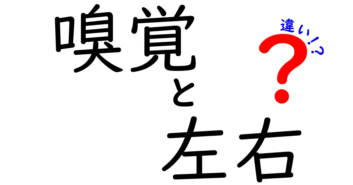 嗅覚は左右で違うのか?脳の秘密と日常で役立つポイントを徹底解説