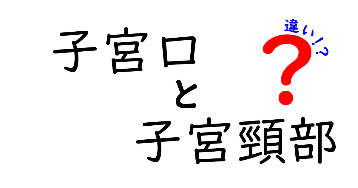 子宮口と子宮頸部の違いを徹底解説|中学生にも分かる図解入りで理解を深めよう