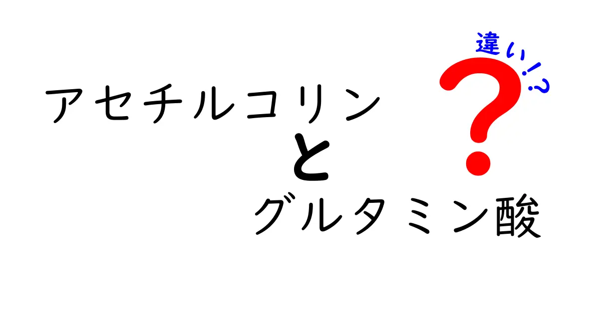 アセチルコリンとグルタミン酸の違いを中学生にもわかる図解で解説