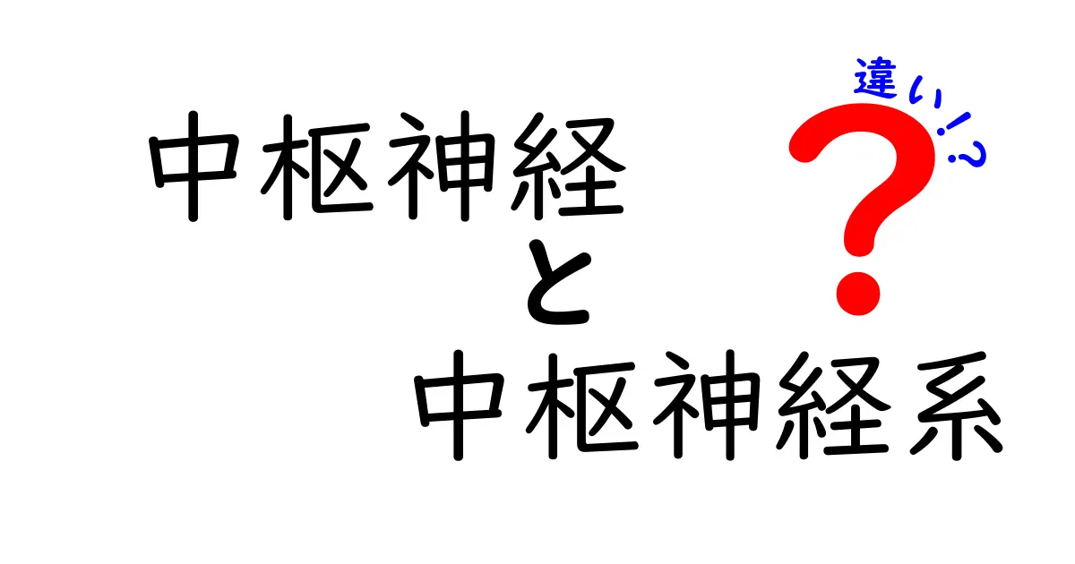 中枢神経と中枢神経系の違いを徹底解説!中学生にも分かる3つのポイント