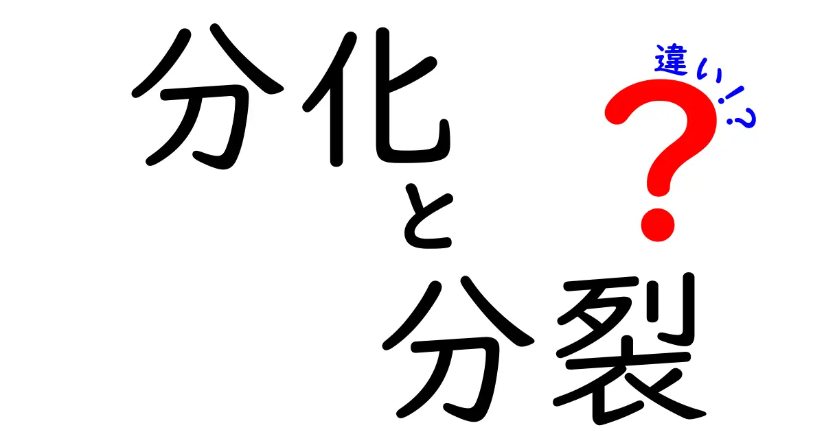 分化と分裂の違いを徹底解説！中学生にもわかる超やさしいバイオ入門
