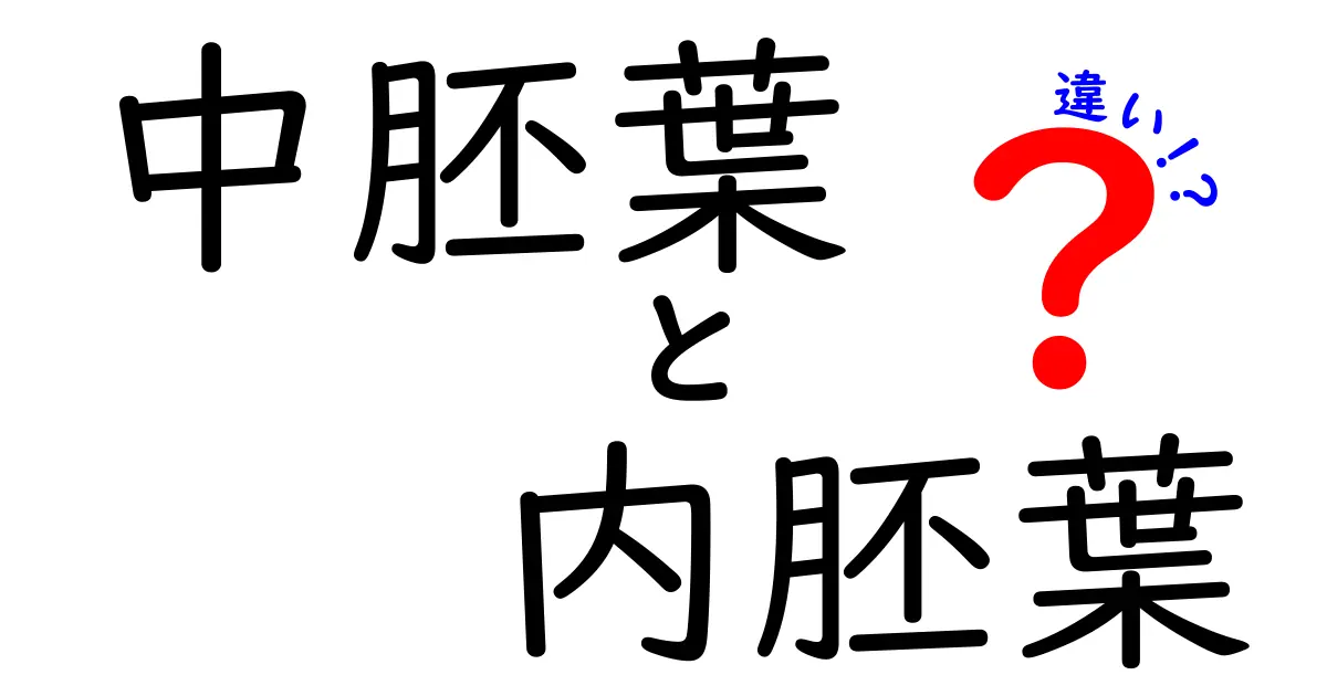 中胚葉と内胚葉の違いを徹底解説|中学生にもわかる発生の基本