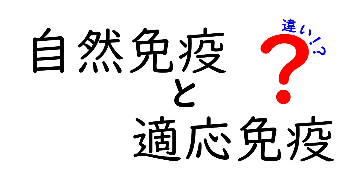 自然免疫と適応免疫の違いを中学生にもわかるように徹底解説!仕組みと役割をスッと理解するポイント