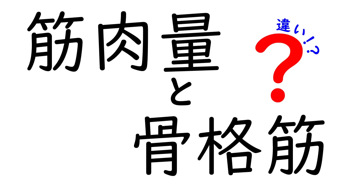筋肉量と骨格筋の違いとは?初心者でも分かる筋肉の基本ガイド