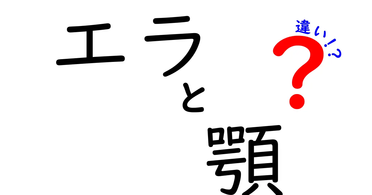 エラと顎の違いを徹底解説!見た目と健康を左右するセルフ診断ガイド