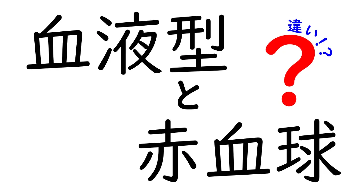 血液型と赤血球の違いをやさしく解説!看板と配送員のほんとうの関係