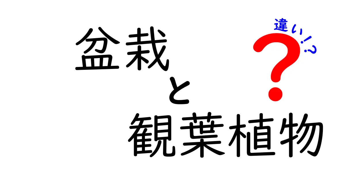 盆栽と観葉植物の違いを徹底解説!それぞれの魅力と育て方のポイント