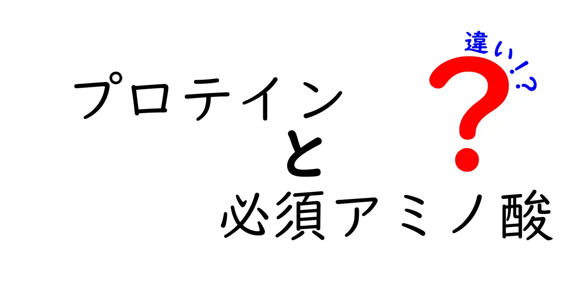 プロテインと必須アミノ酸の違いを徹底解説|初心者でも理解できる選び方とポイント