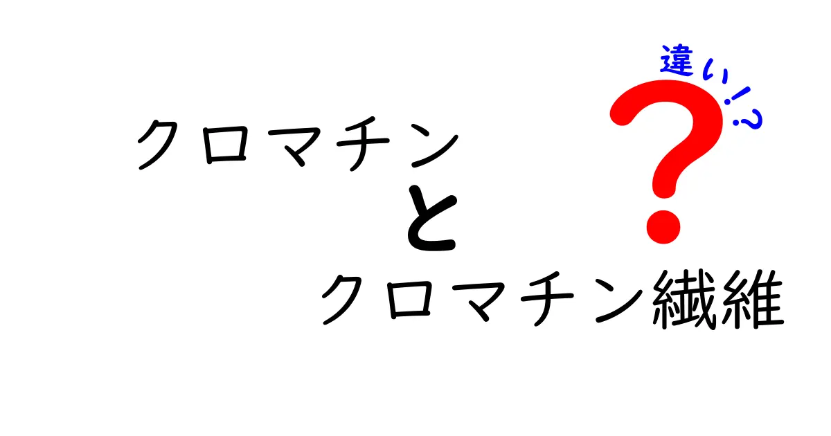 クロマチンとクロマチン繊維の違いを図解で徹底解説!DNAがどう詰まるのかをやさしく理解しよう