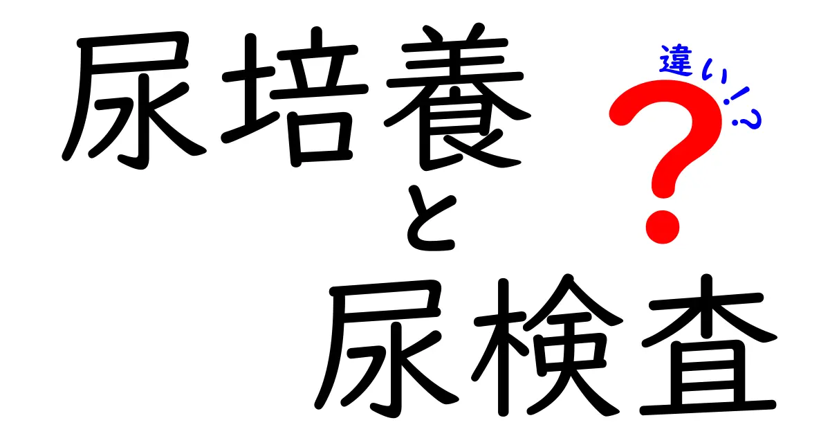 尿培養と尿検査の違いをわかりやすく解説！使用目的や検査方法を比較
