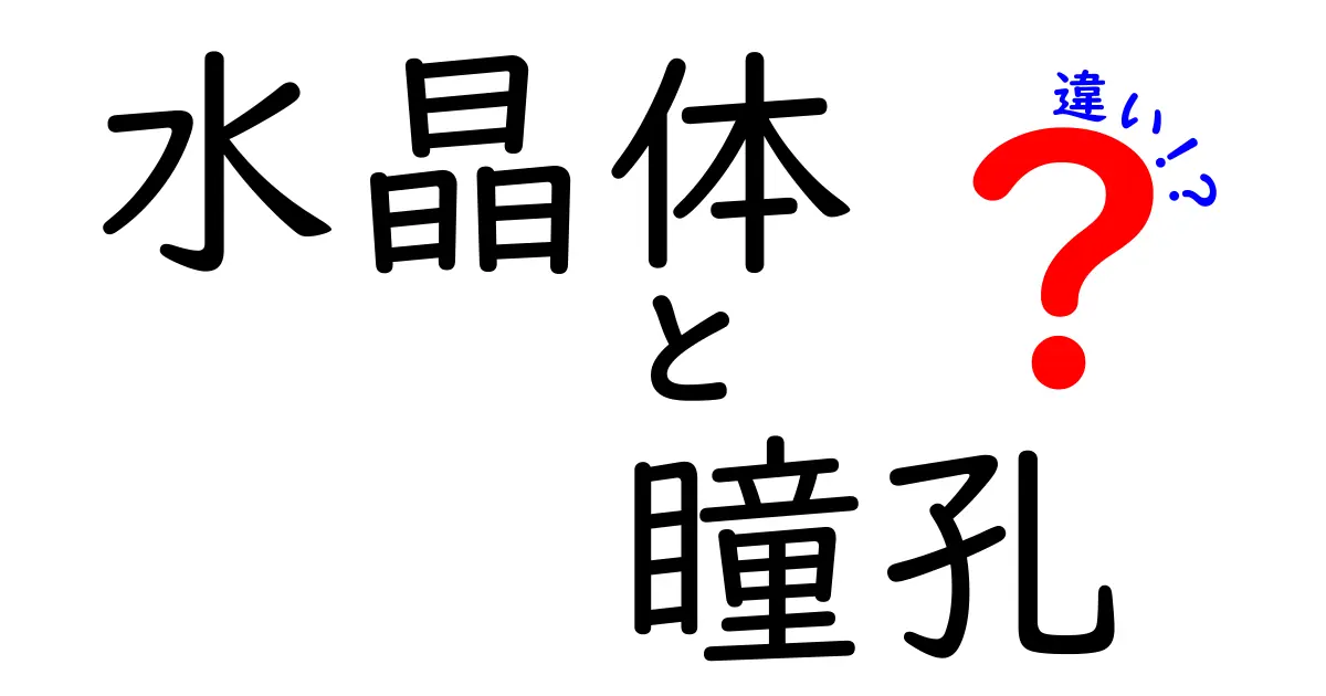 水晶体と瞳孔の違いとは?目の仕組みをやさしく解説!