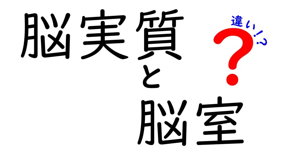脳実質と脳室の違いを徹底解説!どちらが何を担い、どう見分けるべきか