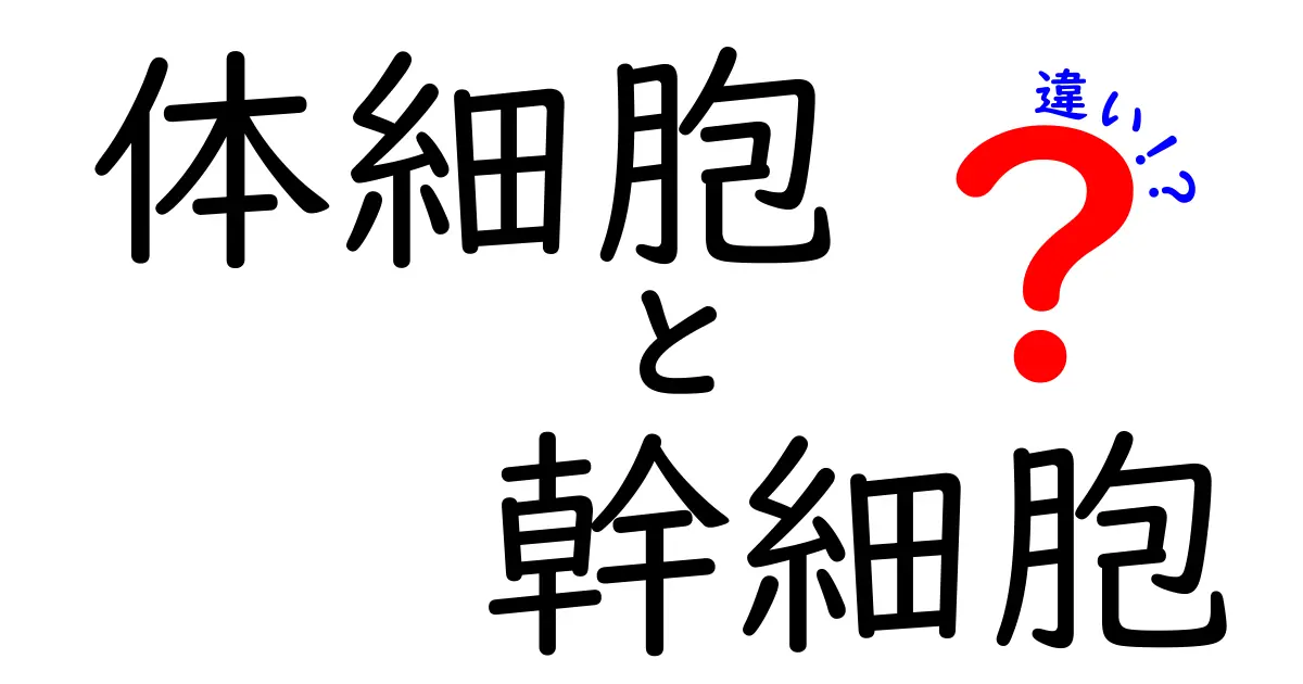 体細胞と幹細胞の違いをわかりやすく解説!中学生にも伝わる3つのポイントと日常の例