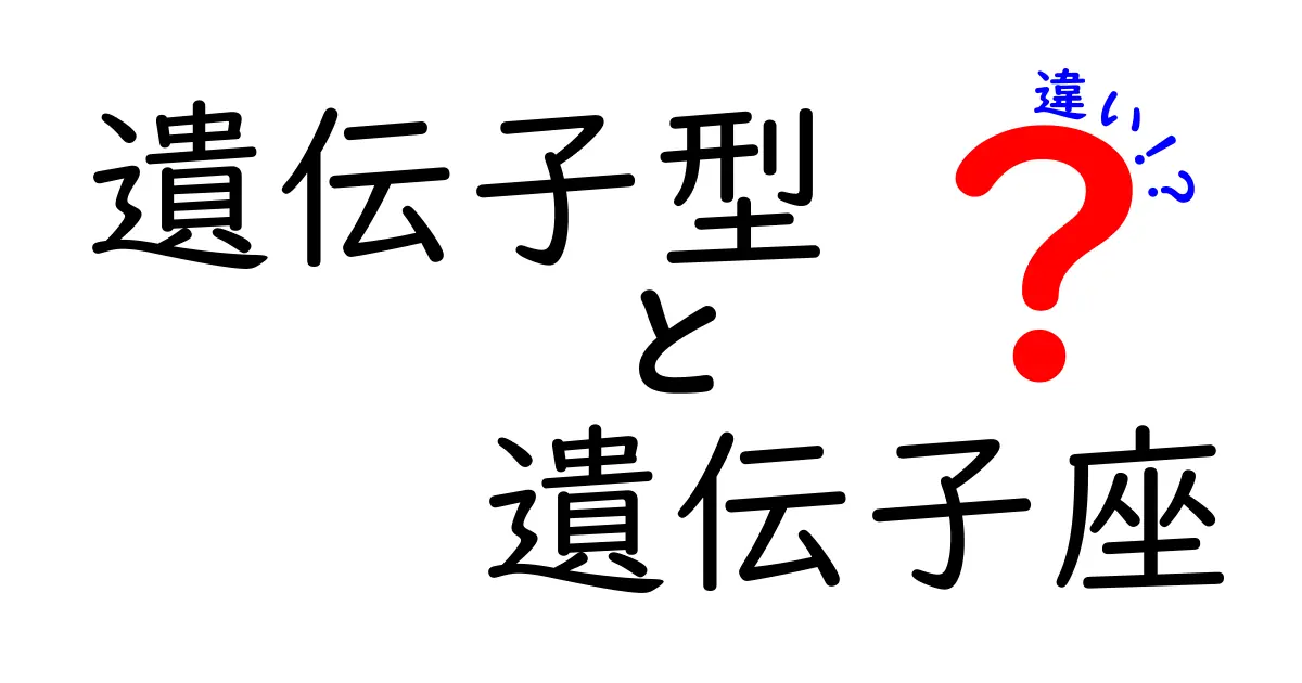 遺伝子型と遺伝子座の違いを完全解説|中学生にも分かる図解つきのやさしい入り口