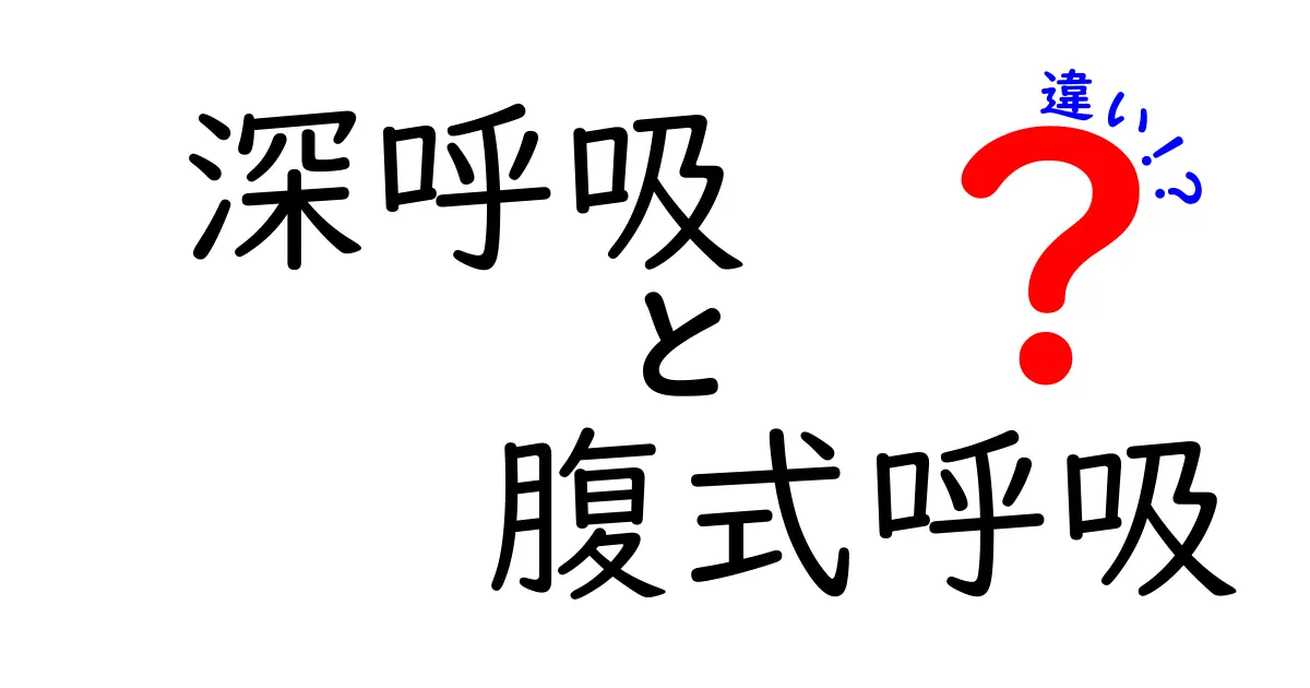 深呼吸と腹式呼吸の違いとは？初心者でもわかる呼吸法のポイント解説