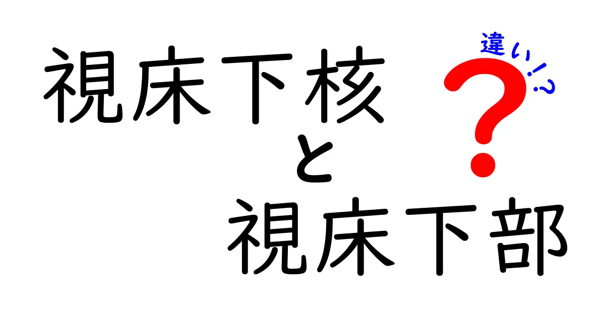 視床下核と視床下部の違いを徹底解説:場所と役割を中学生にもわかる図解入り