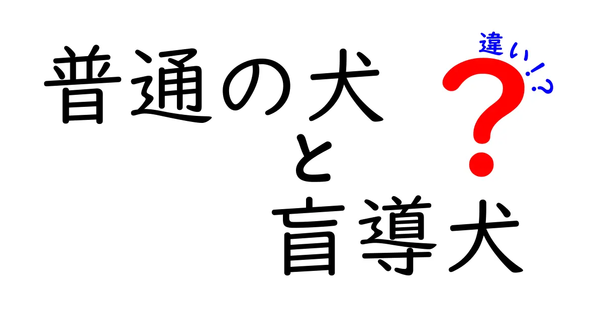 普通の犬と盲導犬の違いを徹底解説|日常生活と訓練のポイントをわかりやすく