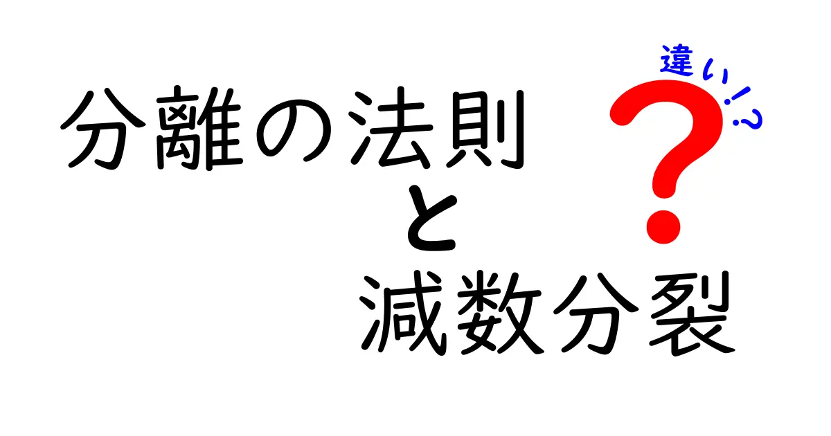 分離の法則と減数分裂の違いを徹底解説|中学生にも分かる生物の基本