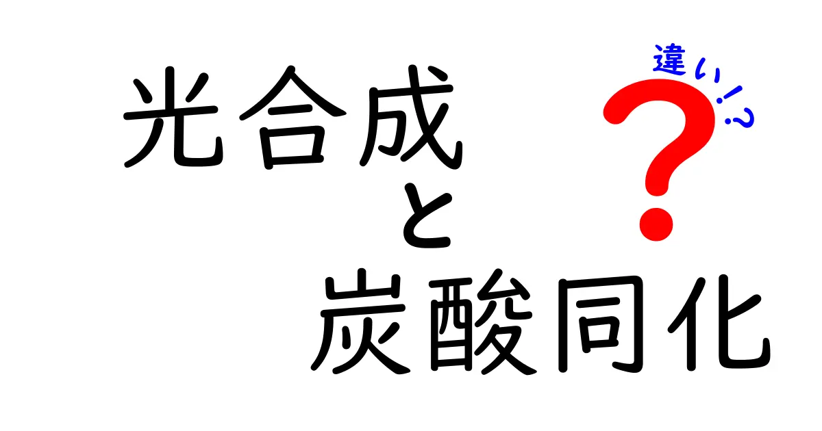 光合成と炭酸同化の違いを徹底解説!中学生にもわかるポイントまとめ