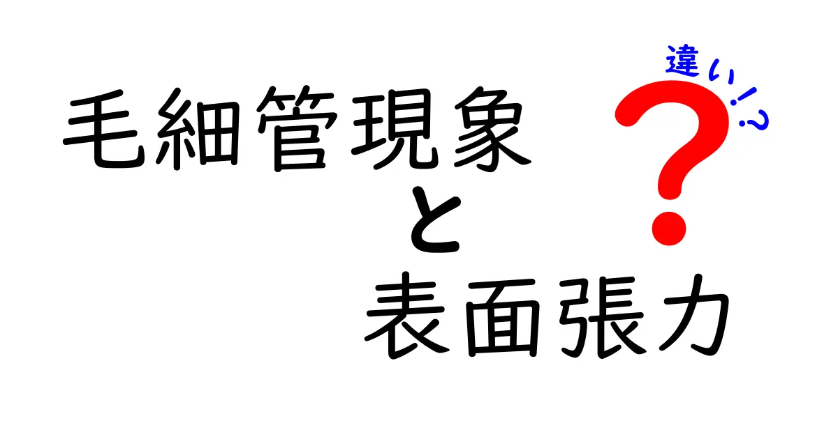 毛細管現象と表面張力の違いをわかりやすく解説!身近な水の不思議