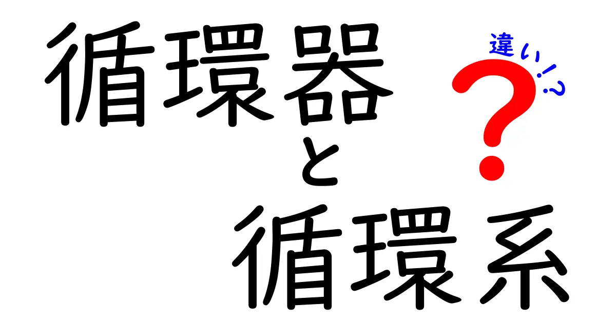 循環器と循環系の違いを徹底解説!中学生にも伝わる図解つき入門