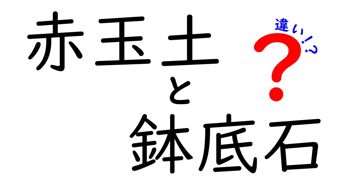 赤玉土と鉢底石の違いを徹底解説！使い方や効果のポイントまとめ