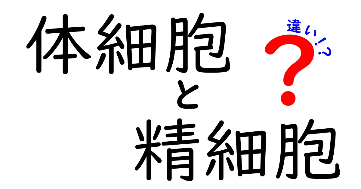 体細胞と精細胞の違いを中学生にもわかる図解つきで徹底解説!