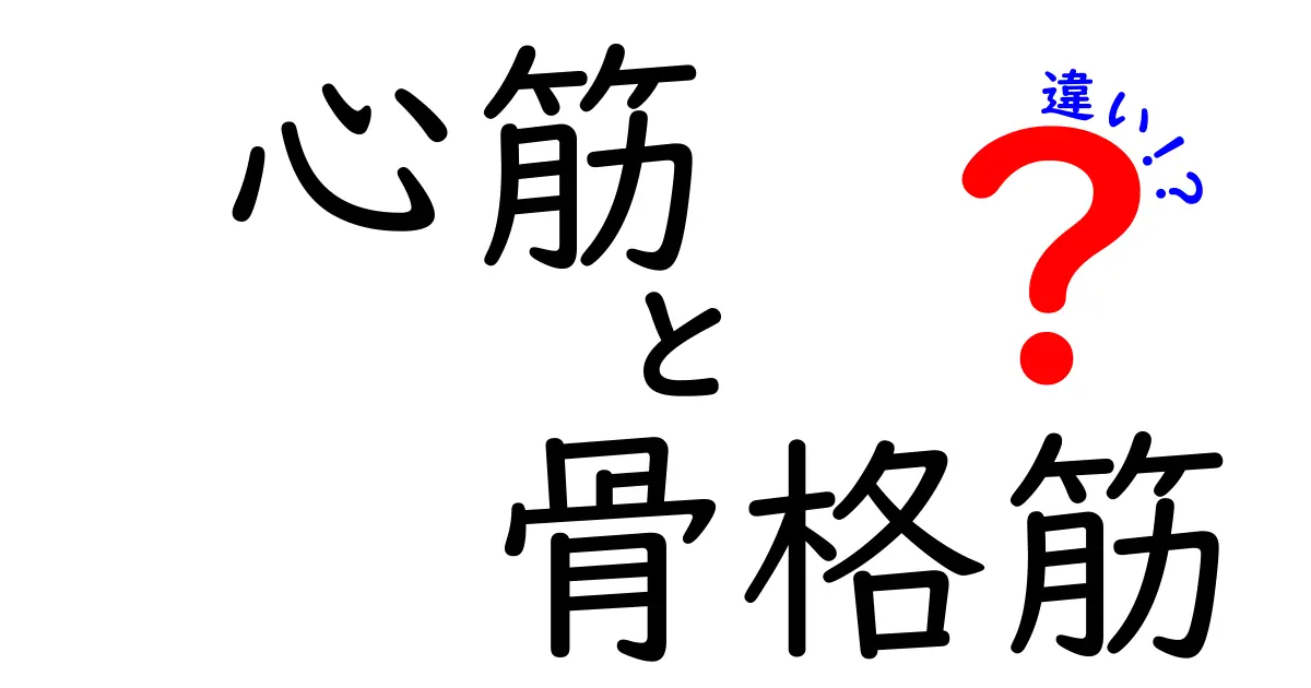 心筋と骨格筋の違いとは?わかりやすく徹底解説!