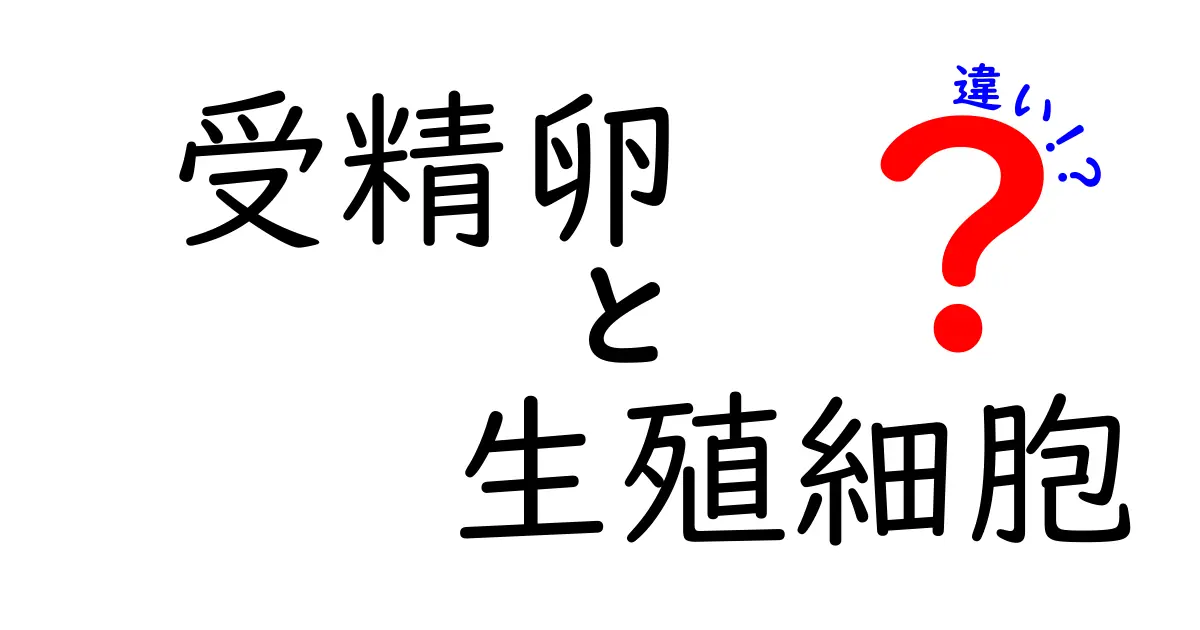 受精卵と生殖細胞の違いを徹底解説|中学生にも分かるやさしい生物入門