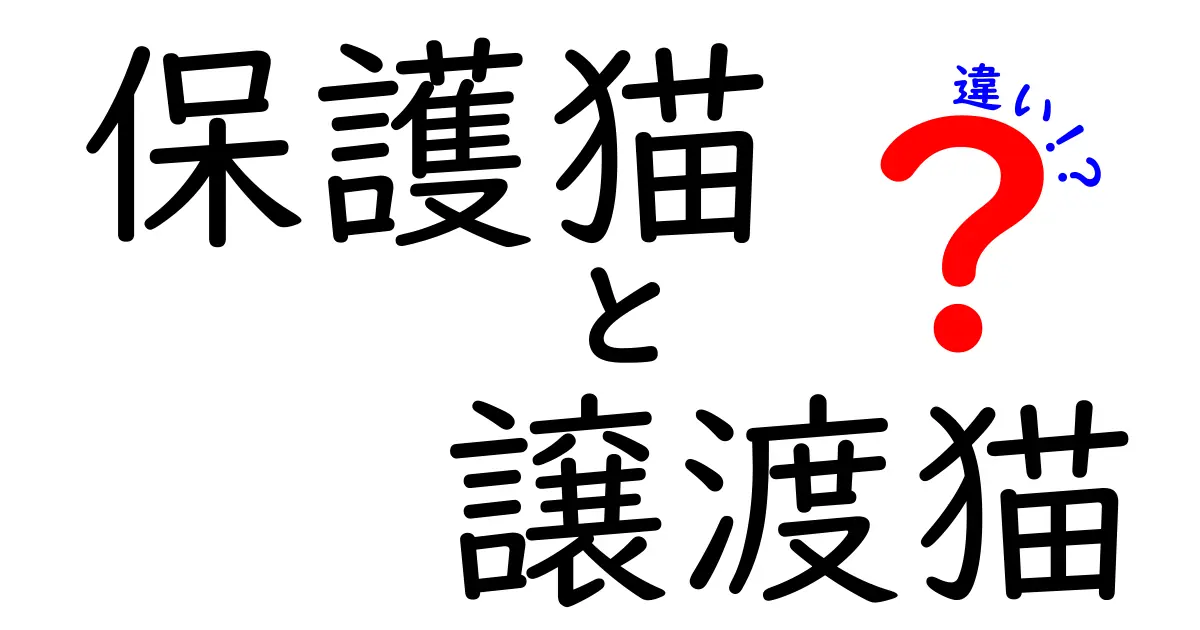 保護猫と譲渡猫の違いを徹底解説|選ぶときに知っておきたいポイント