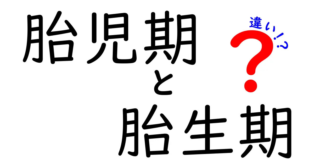 胎児期と胎生期の違いを徹底解説 いつから何が変わるのかを中学生にもわかる言葉で