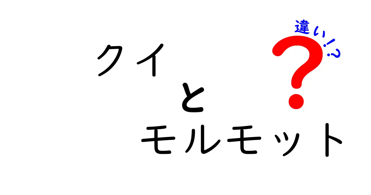 クイとモルモットの違いを徹底解説！見分け方・特徴・飼い方・健康管理まで、初心者にも伝わる分かりやすい比較ガイド