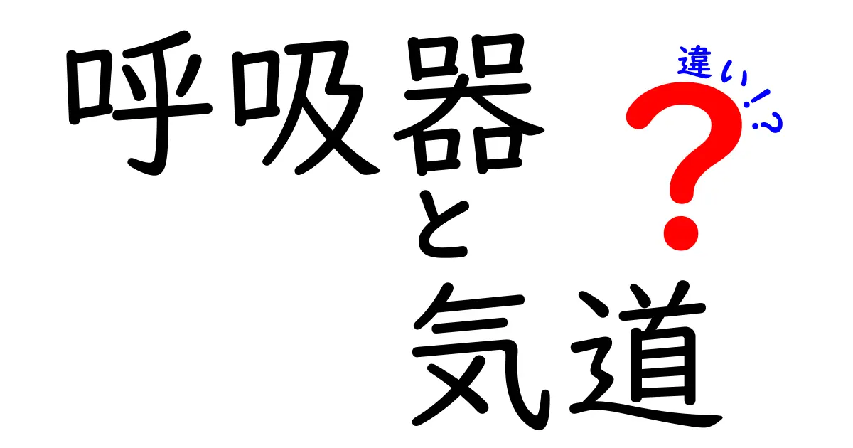 呼吸器と気道の違いを徹底解説:中学生にもわかるポイントと実例