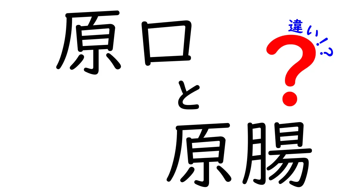 原口と原腸の違いを徹底解説!胚の口と腸の始まりをやさしく理解しよう