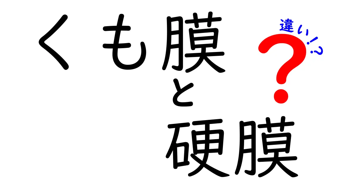 くも膜 硬膜 違いを徹底解説|中学生にもわかる脳を包む三層の膜の役割と日常での見分け方