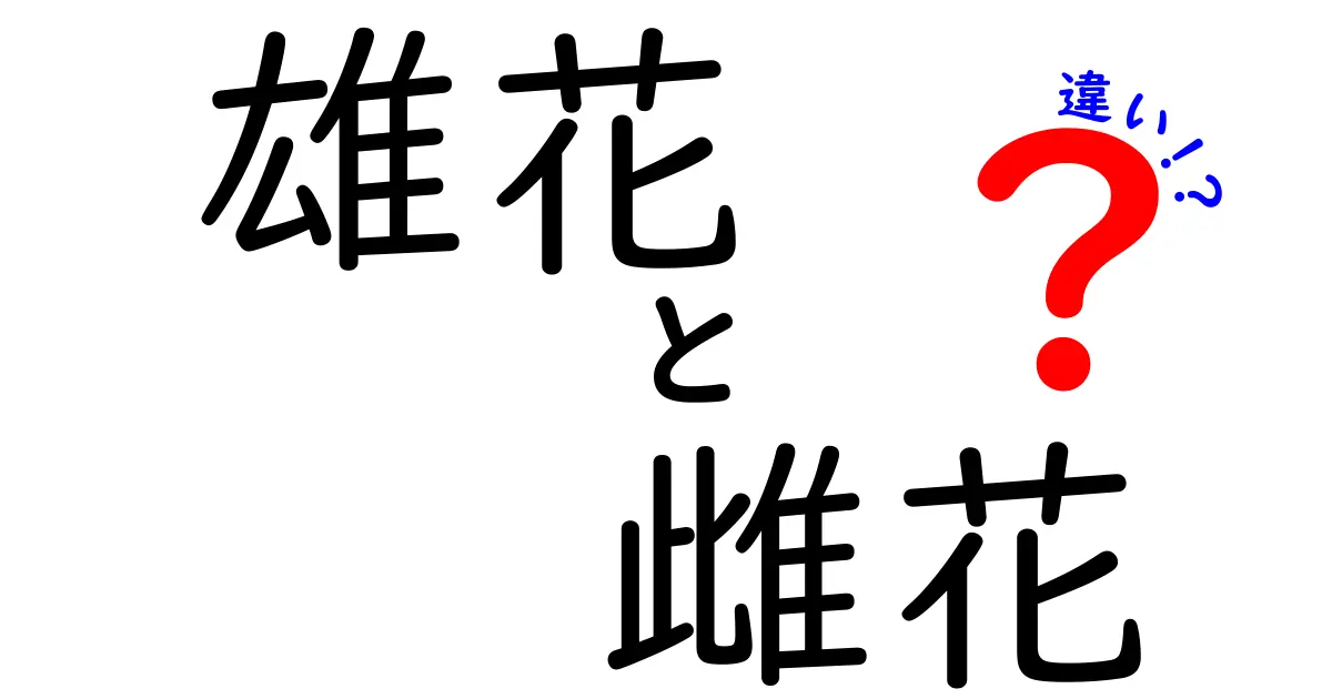 雄花と雌花の違いを徹底解説|中学生にもわかる花の生殖ガイド