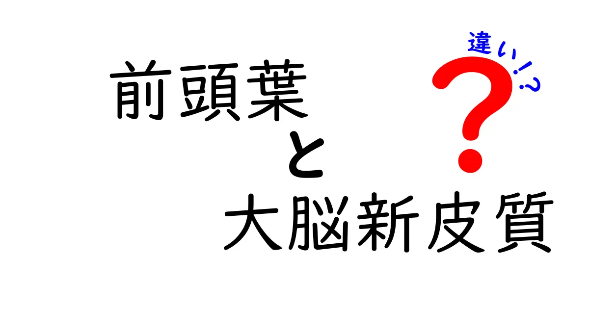 前頭葉と大脳新皮質の違いを徹底解説:脳の指揮官を理解する入門ガイド