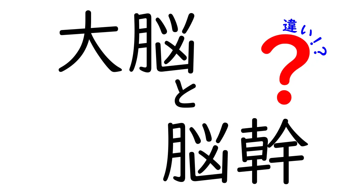 大脳と脳幹の違いを徹底解説:中学生にも分かるポイントを押さえよう