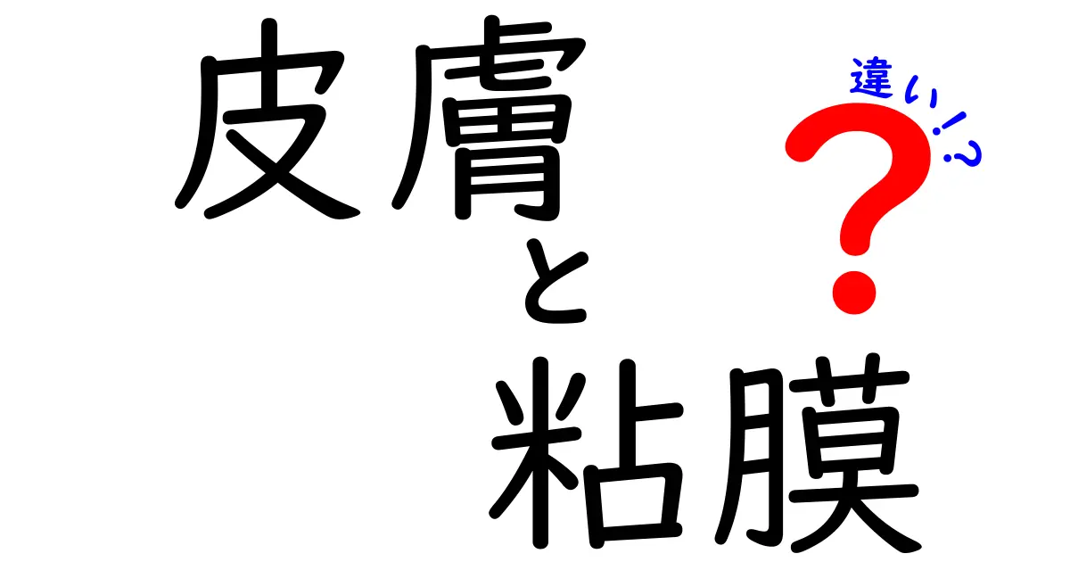 皮膚と粘膜の違いを徹底解説！中学生にも分かるやさしい図解とポイント